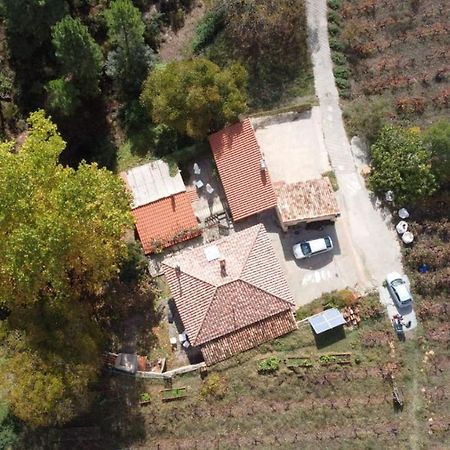 La Limonera ξενώνας Riópar Εξωτερικό φωτογραφία